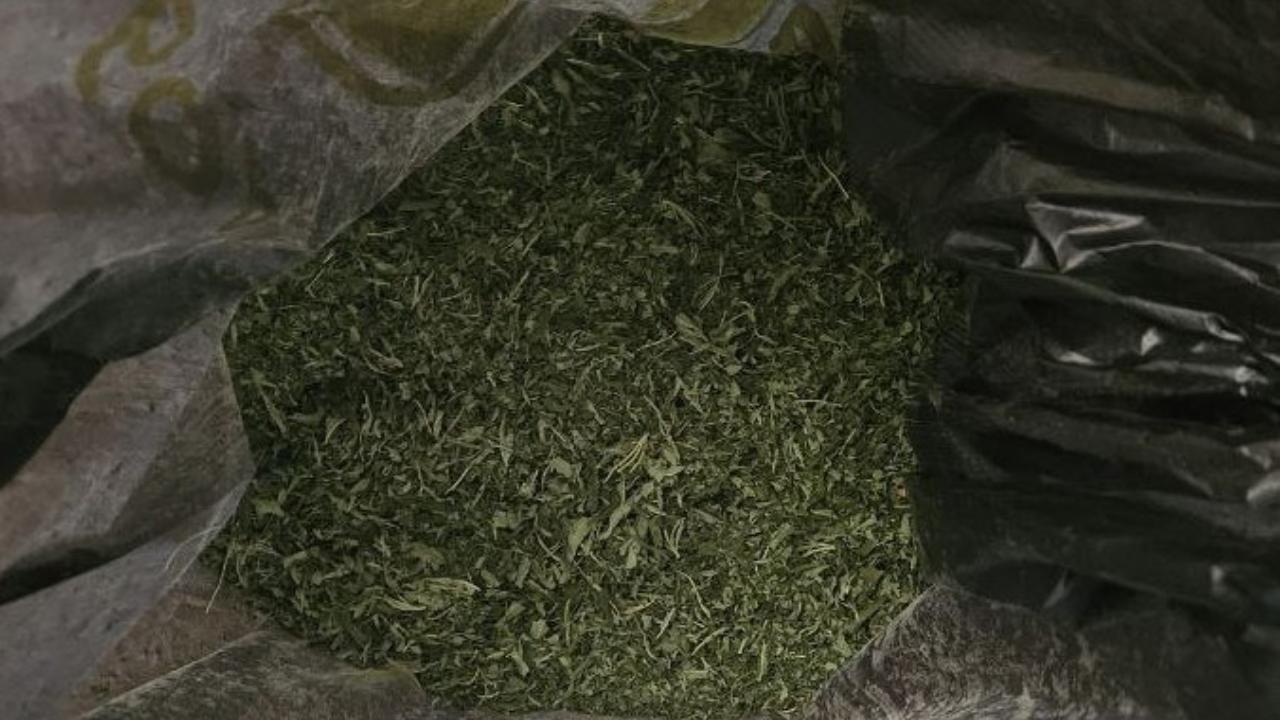 У жителя Херсонской области полицейские обнаружили тайник с марихуаной в трубах для полива