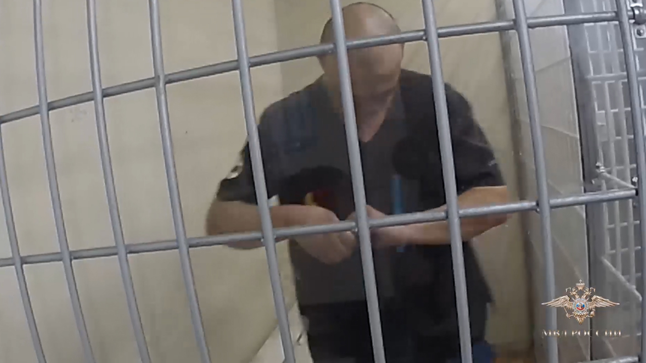 Ирина Волк: В Новосибирской области транспортные полицейские задержали авиадебошира