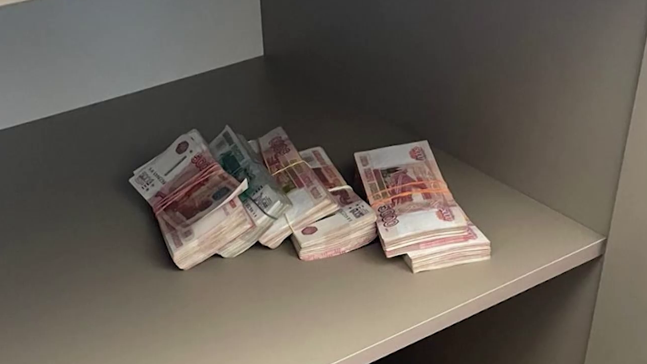 Ирина Волк: В Липецке полицейские задержали подозреваемых в хищении 11 млн рублей из кабинета директора магазина