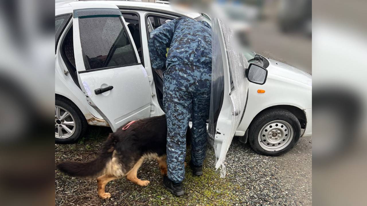 Правоохранители Ингушетии пресекли доставку в республику из Кубани более полкилограмма мефедрона