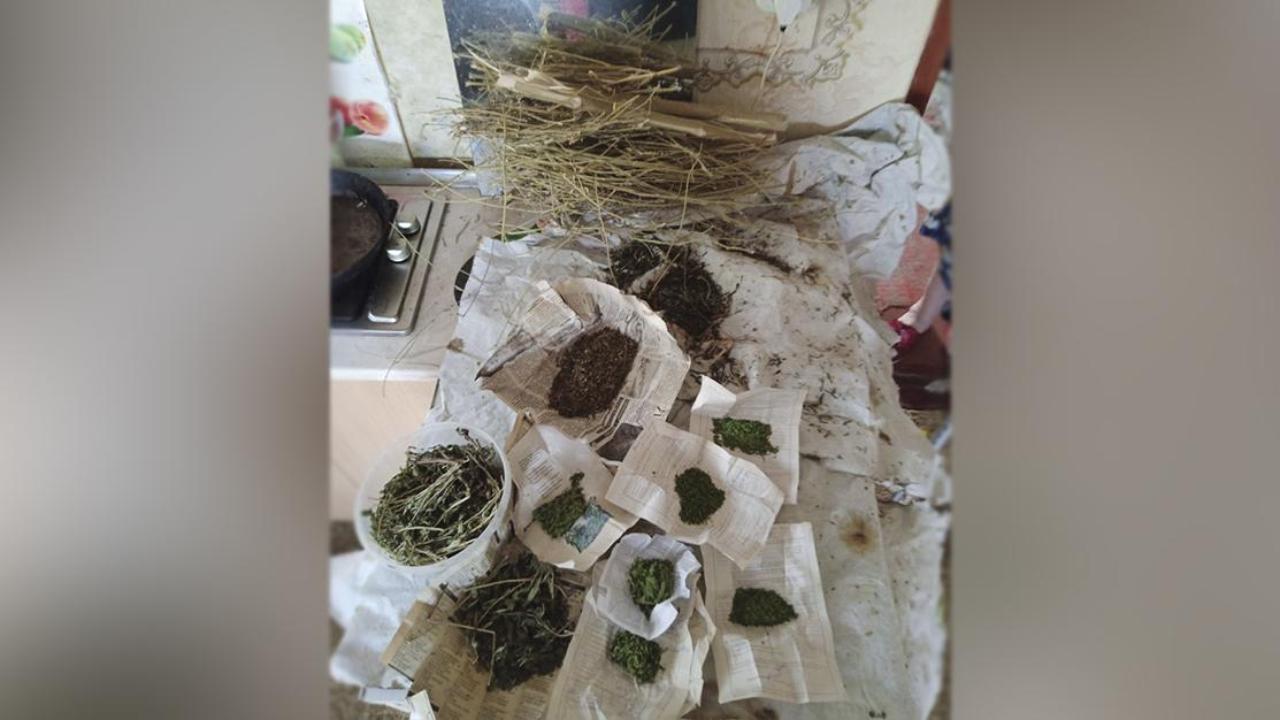 В Херсонской области житель Геническа подозревается полицейскими в хранении свыше 2 кг марихуаны