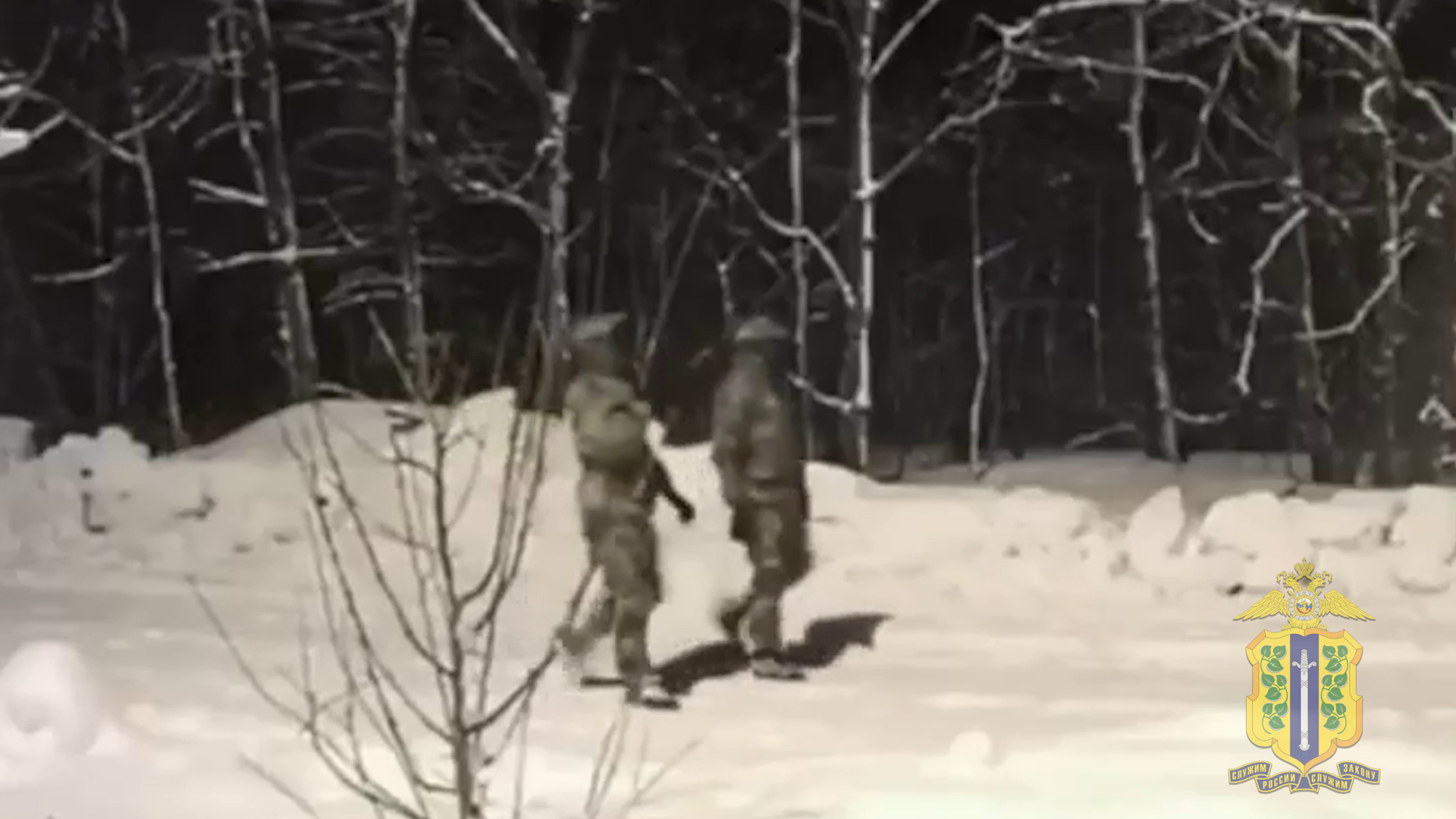 В кражах имущества на 4 млн рублей из частных домов в Липецкой области уличены двое жителей Воронежа