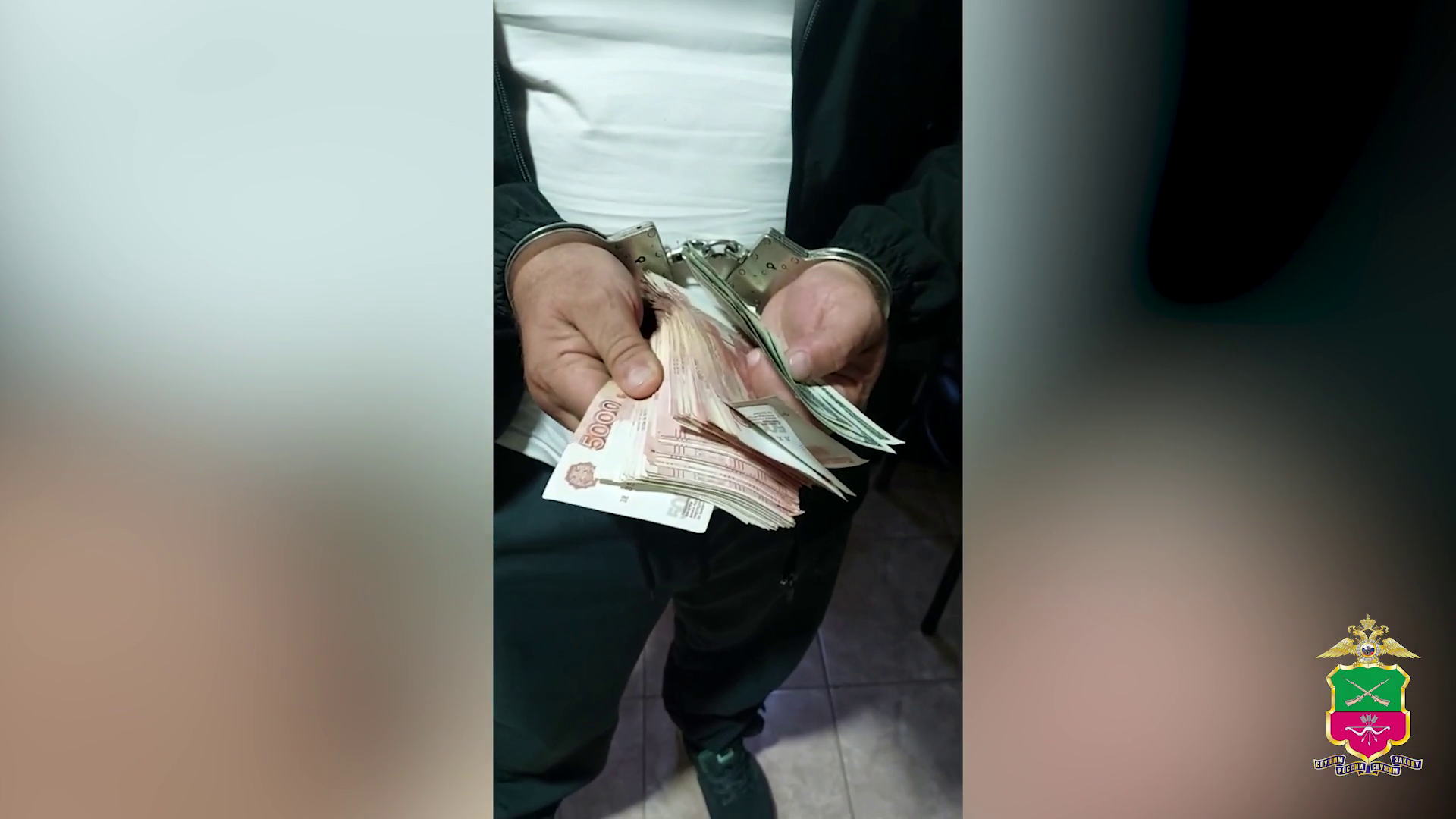 Запорожские полицейские задержали двух грабителей, совершивших хищение на сумму более 18 млн рублей