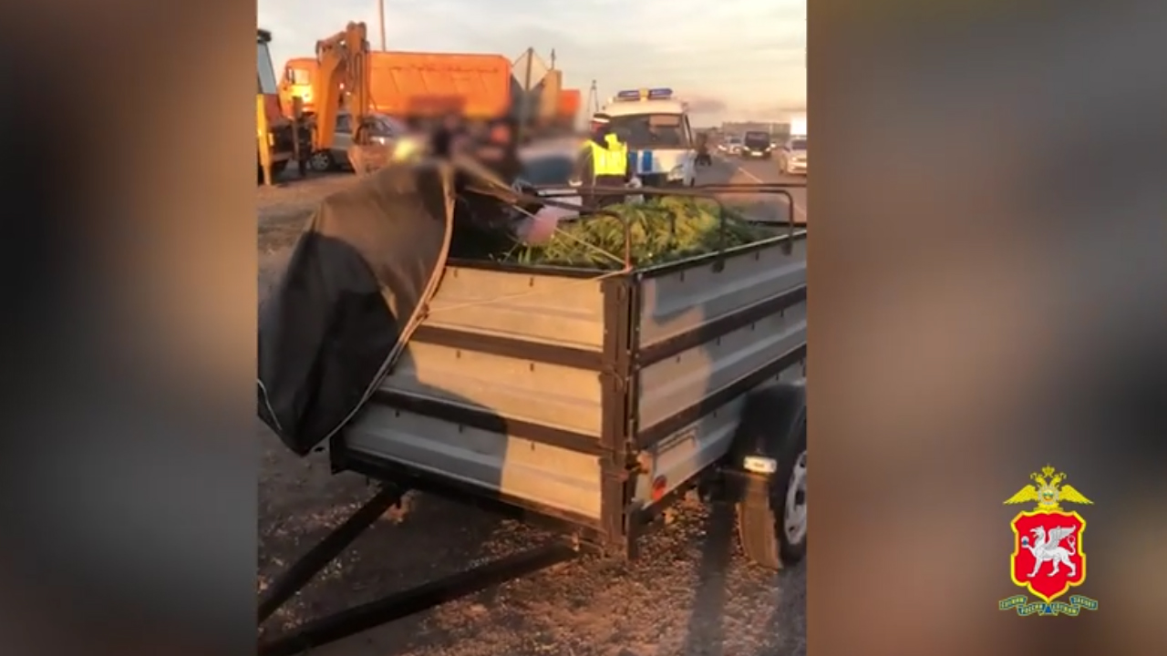 Автоинспекторы в Крыму задержали водителя, который вёз в прицепе 21 кг конопли