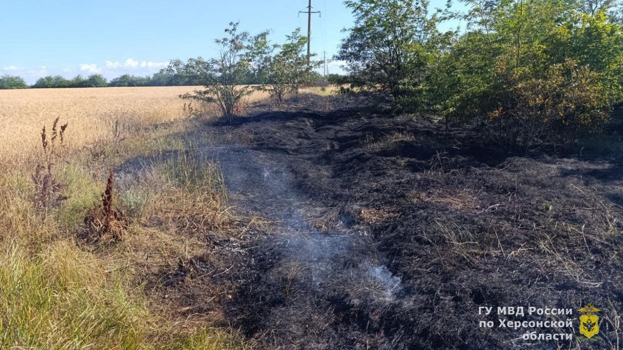 В Херсонской области автоинспекторы предотвратили возгорание пшеничного поля в Геническом районе