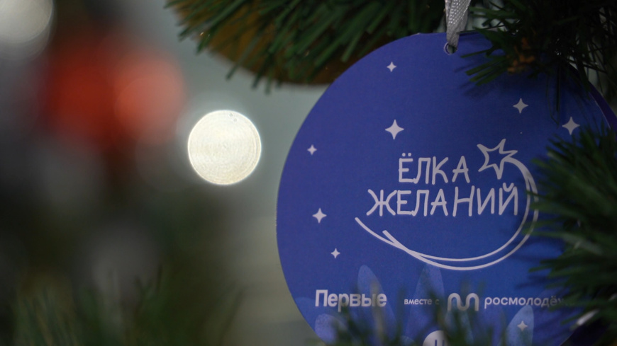 В благотворительной акции «Ёлка желаний» приняли участие заместители Министра внутренних дел