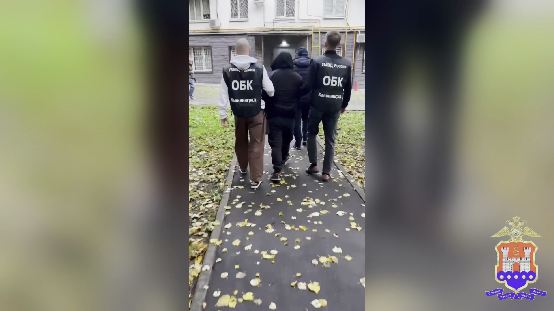 Полицейские Калининграда задержали москвича за действия сексуального характера в отношении школьниц