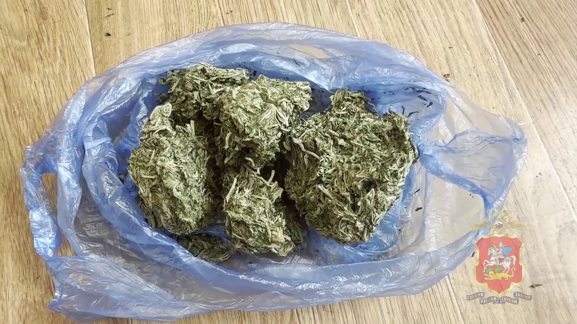 В подмосковном Подольске полиция изъяла у мужчины более 1,5 кг марихуаны, подготовленной им для сбыта