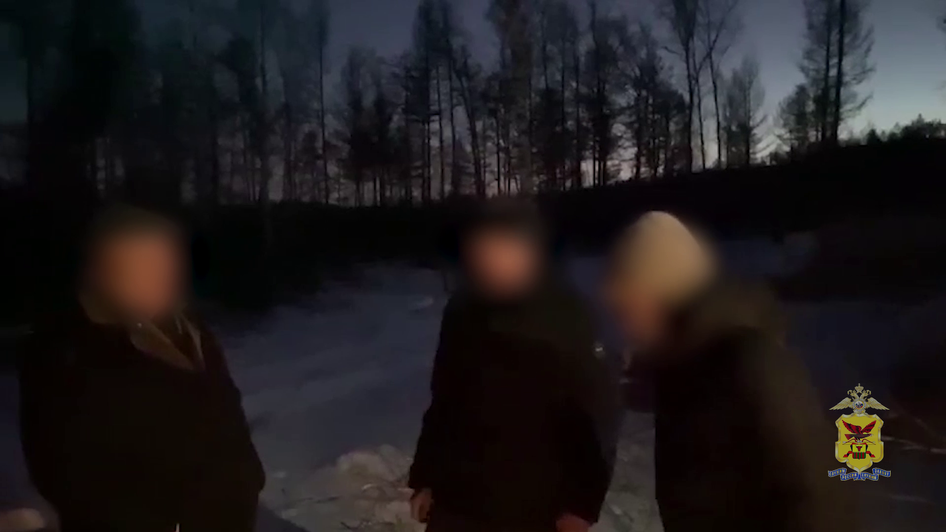 Полиция уличила трёх жителей Забайкальского края в незаконной вырубке леса с многомиллионным ущербом