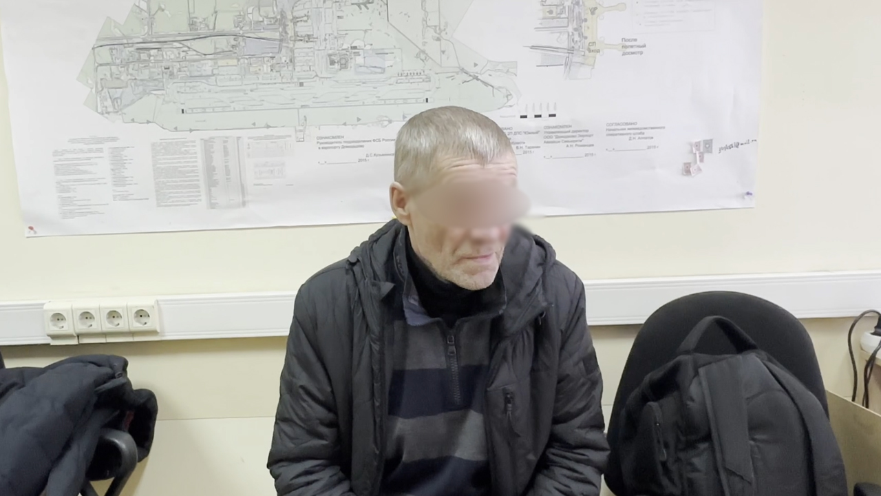 В аэропорту Домодедово транспортная полиция задержала жителя столицы, обокравшего пассажира