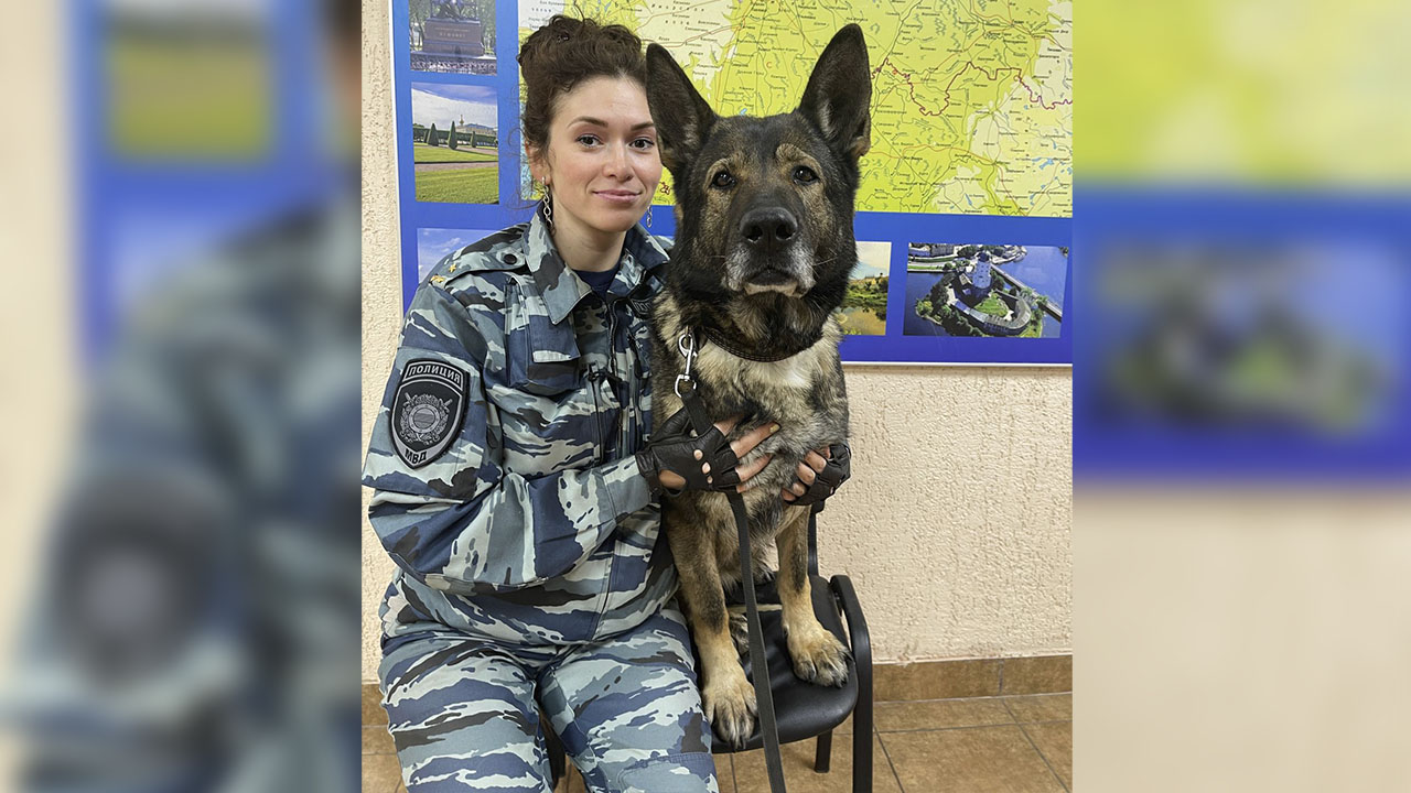 В Санкт-Петербурге полицейские оперативно нашли пропавшую 11-летнюю девочку