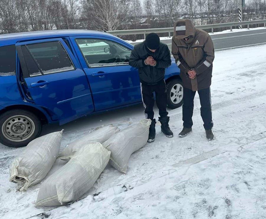 В Забайкальском крае полицейские пресекли перевозку местным жителем 20 кг марихуаны