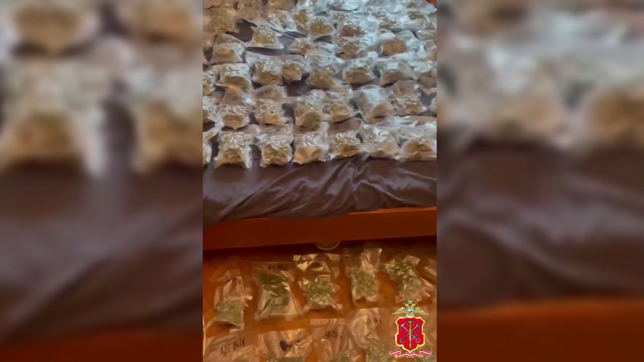 Полицейские изъяли у петербуржца и его подельника из Тюменской области около 12 кг марихуаны
