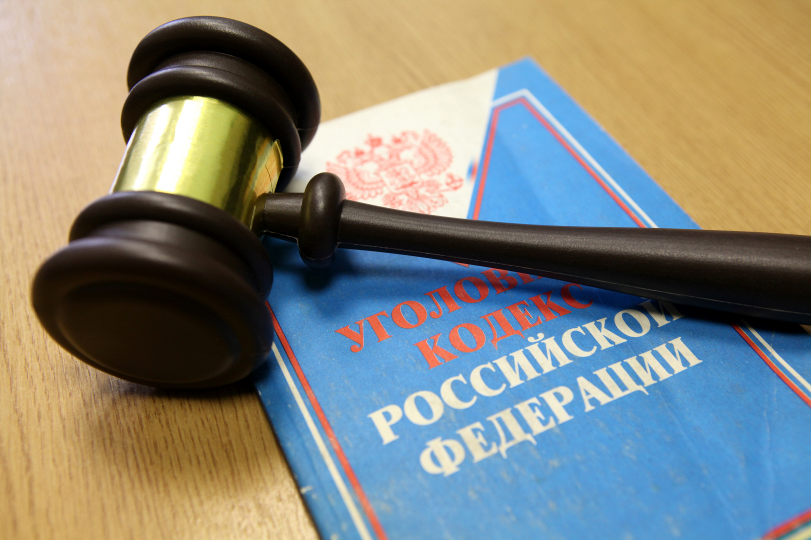 Ирина Волк: В Новосибирской области перед судом предстанут обвиняемые в производстве наркотиков