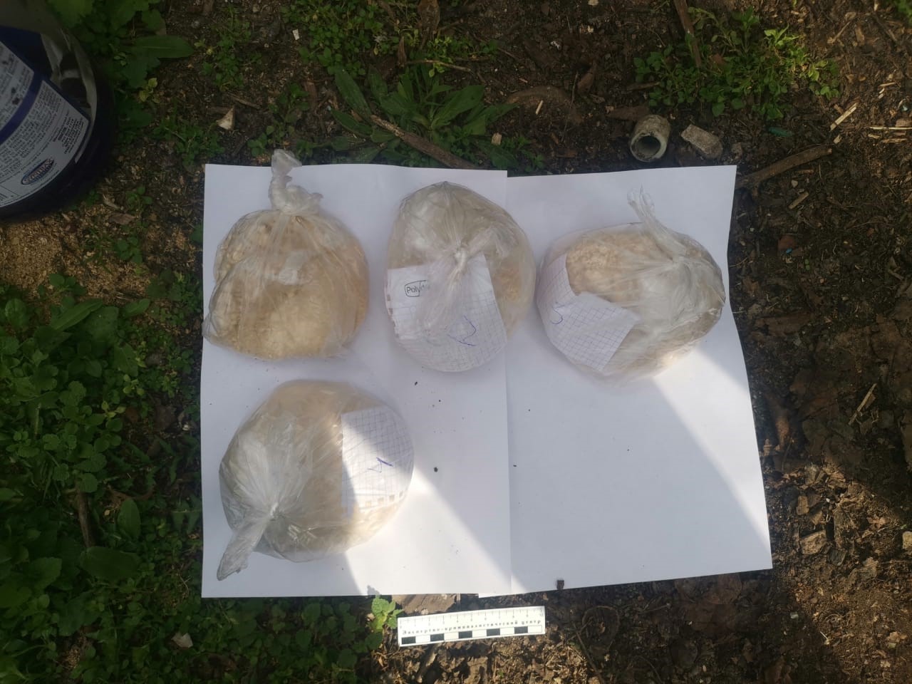 В Краснодарском крае транспортные полицейские задержали сожителей за покушение на сбыт наркотиков