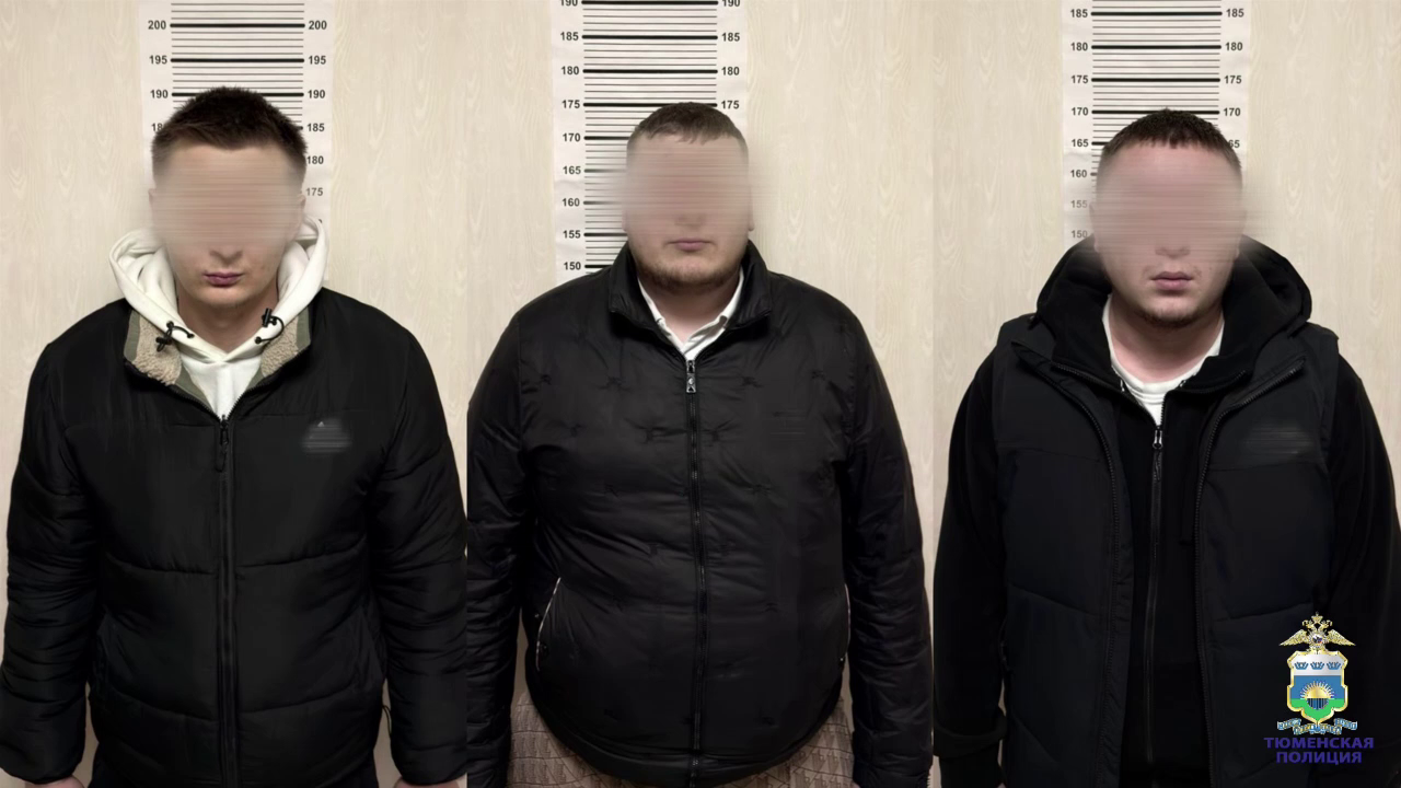 Полицией задержаны трое подельников за незаконное использование персональных данных граждан в Тюмени