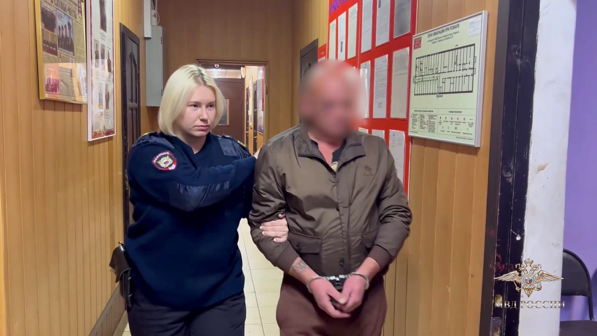 Ирина Волк: В Подмосковье полицейские в результате погони задержали нетрезвого водителя
