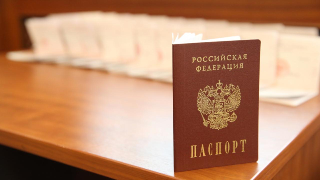 Ирина Волк: Прекращено гражданство Российской Федерации мужчины, допустившего оскорбительные высказывания в адрес российского паспорта