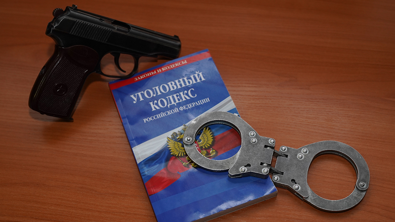 Ирина Волк: Сотрудники МВД России предотвратили заказное убийство в Ивановской области