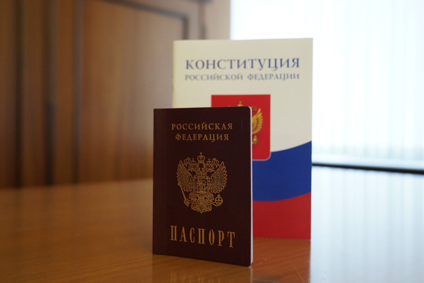 Ирина Волк: В Саратовской области участник специальной военной операции признан гражданином Российской Федерации