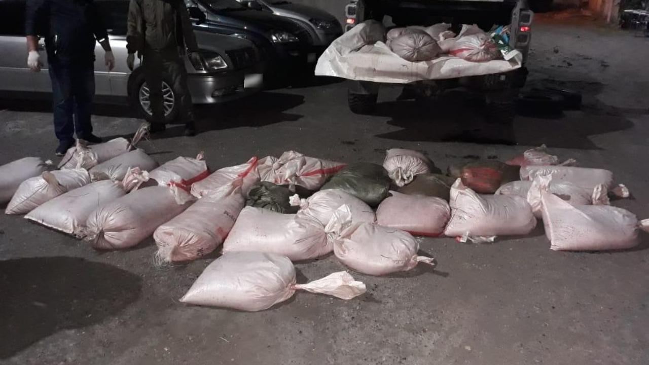 На Камчатке полицейские изъяли из незаконного оборота более тонны красной икры