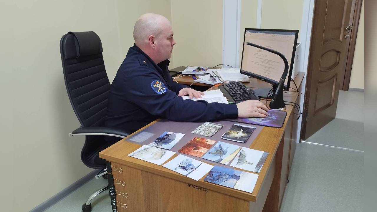 Полиция Красноярского края уличила двух охотников в незаконном получении 1,6 млн рублей за убитых волков
