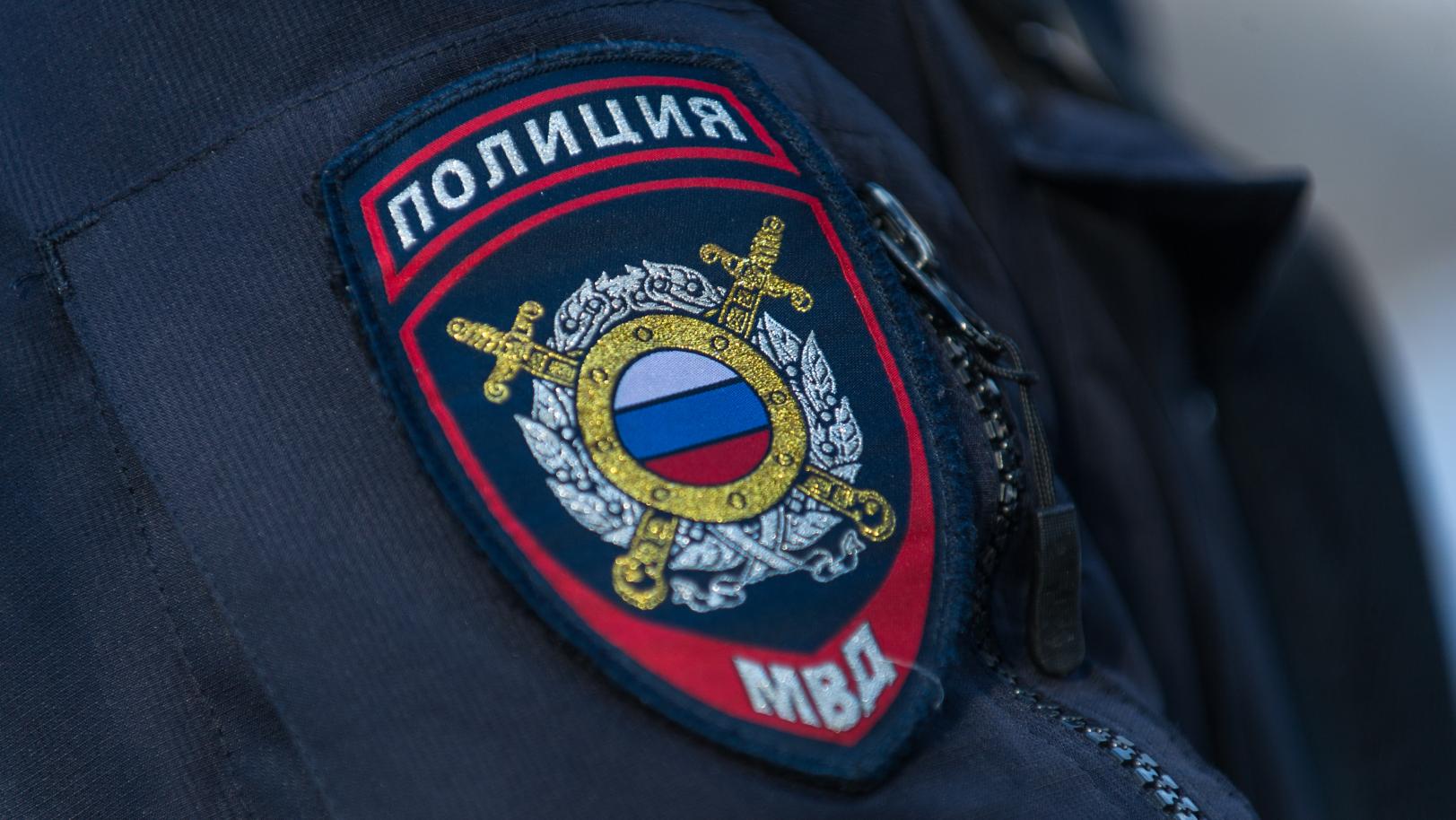 Сотрудник полиции обезвредил агрессивного алабая, напавшего на людей в городе Ужуре Красноярского края