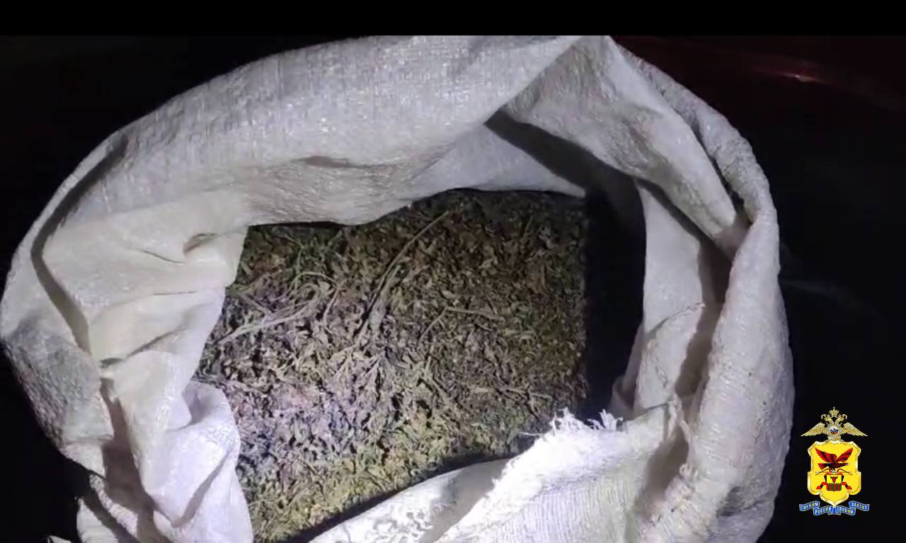 В Забайкалье служебная собака нашла припрятанный наркодельцом в чужой машине мешок марихуаны