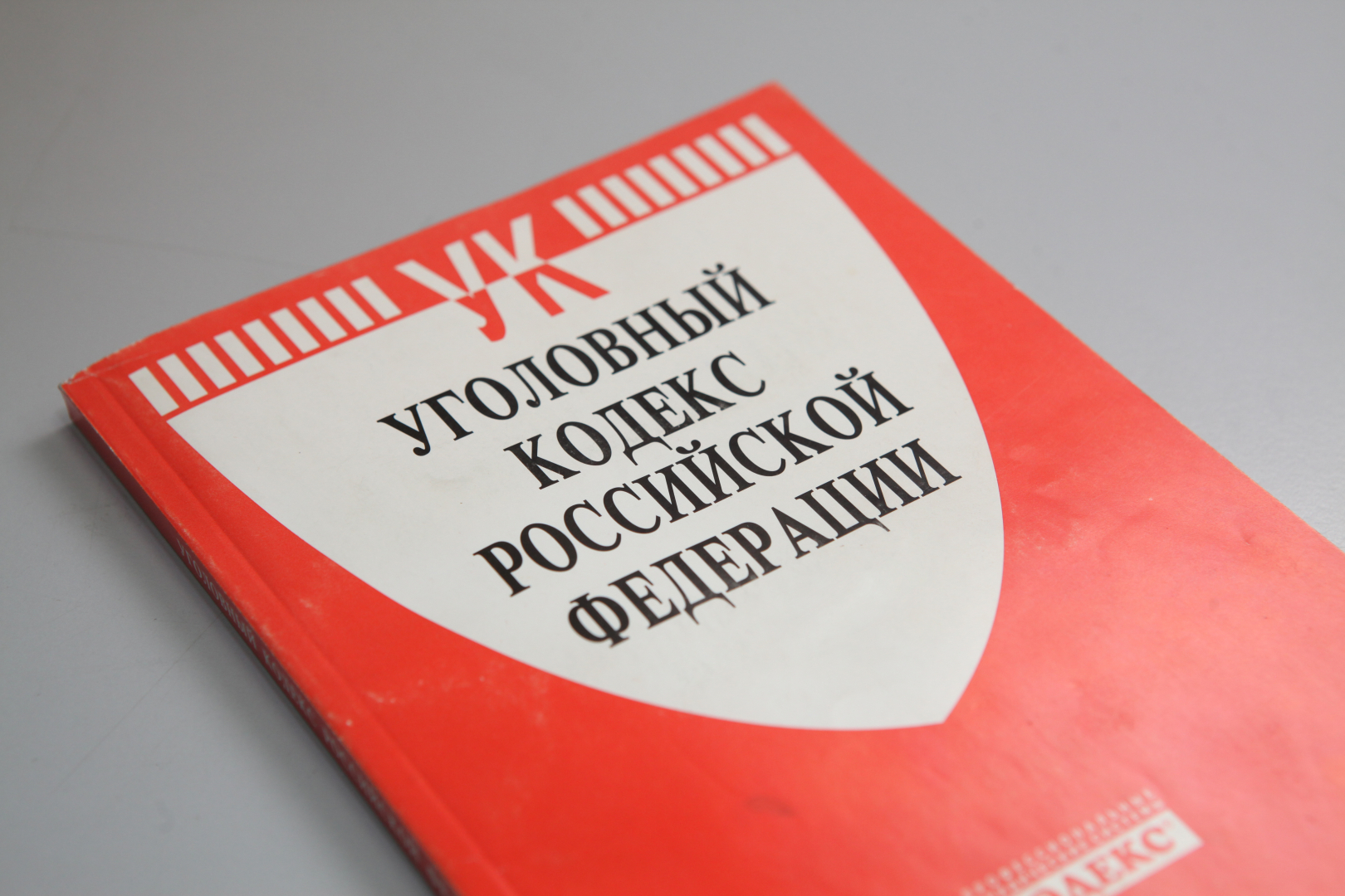 В Красноярске директор коммерческой организации подозревается в мошенничестве на 13 миллионов рублей