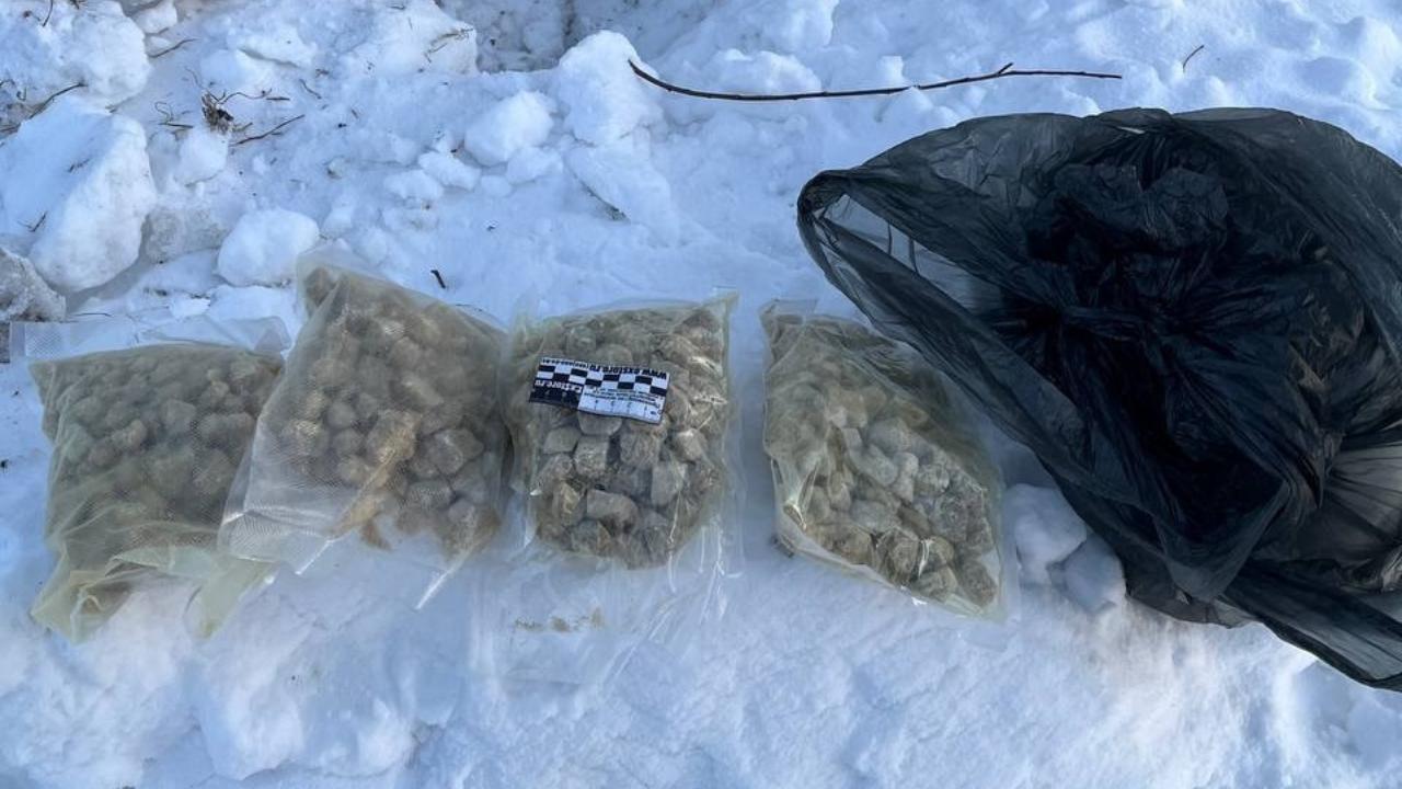 В Новосибирской области заключён под стражу наркокурьер за попытку сбыта 8 кг «синтетики»