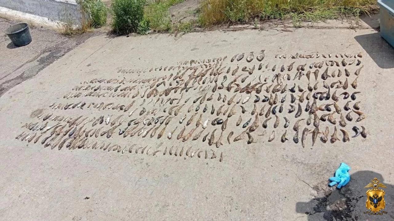 Житель Херсонской области задержан полицейскими за незаконный вылов рыбы и раков на Каховском канале