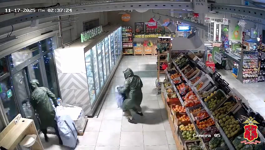 Орудовавшие по ночам серийные похитители сигарет из магазинов в Ленобласти задержаны полицейскими