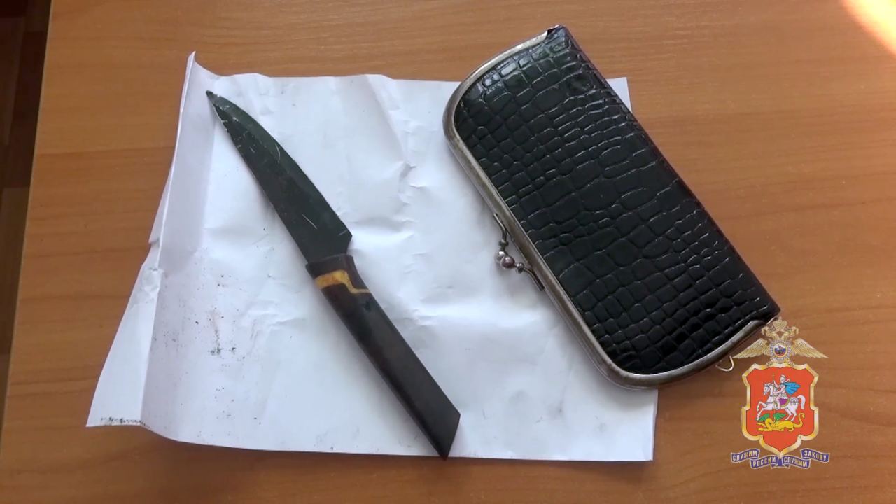 Житель Подмосковья помог полицейским задержать соседа, напавшего с ножом на 66-летнюю женщину