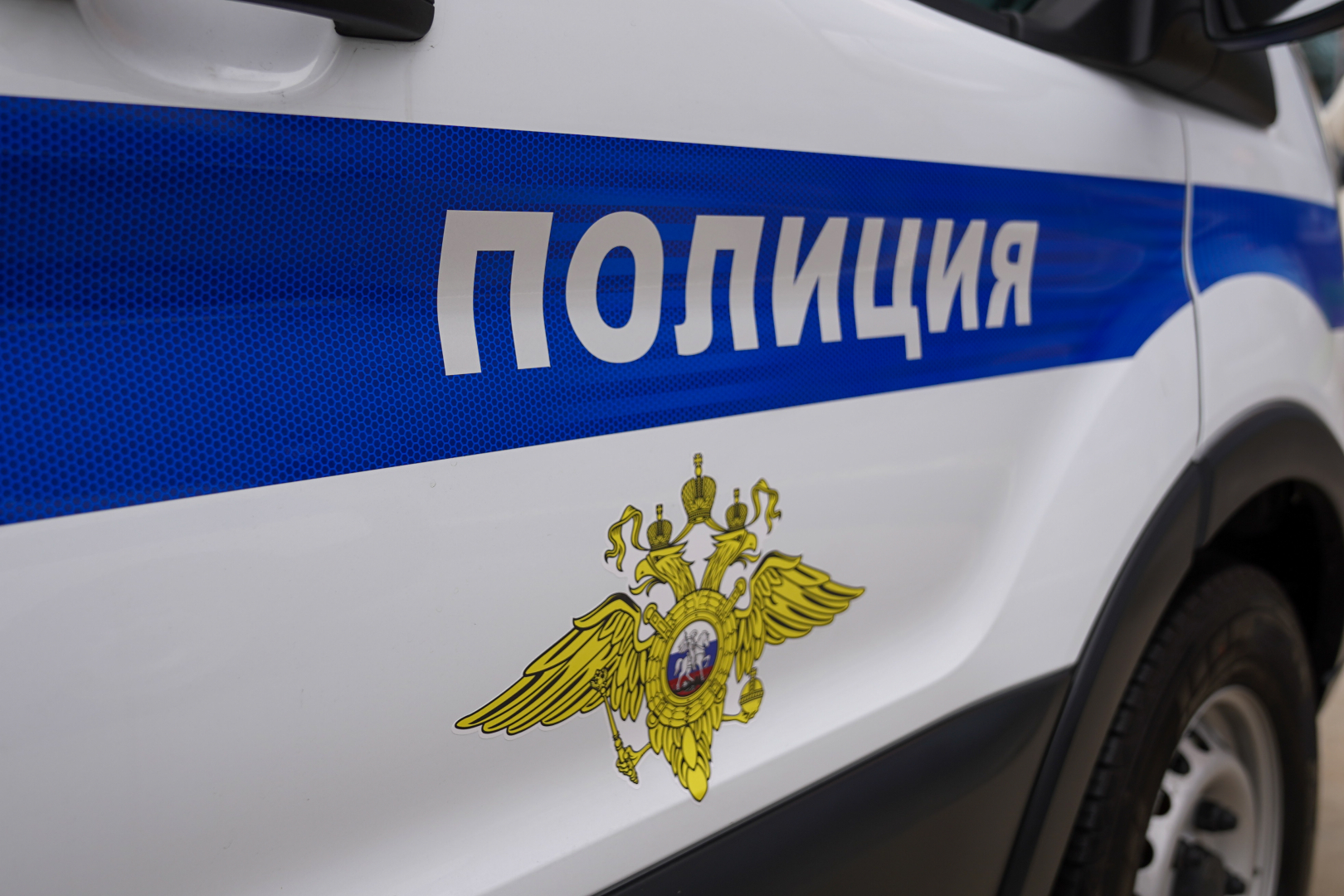 В Москве за призывы к убийствам задержан ранее судимый гражданин