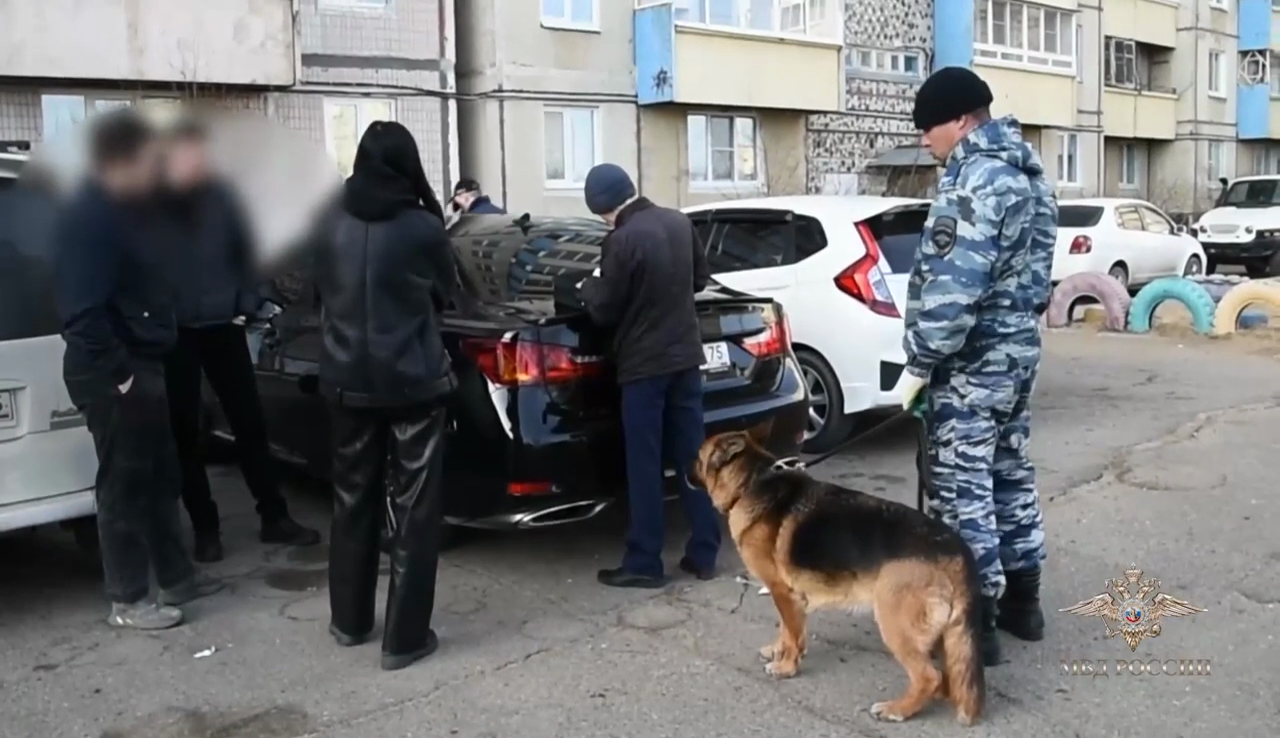 Ирина Волк: В Забайкалье задержаны подозреваемые в вымогательствах, разбоях и мошенничествах