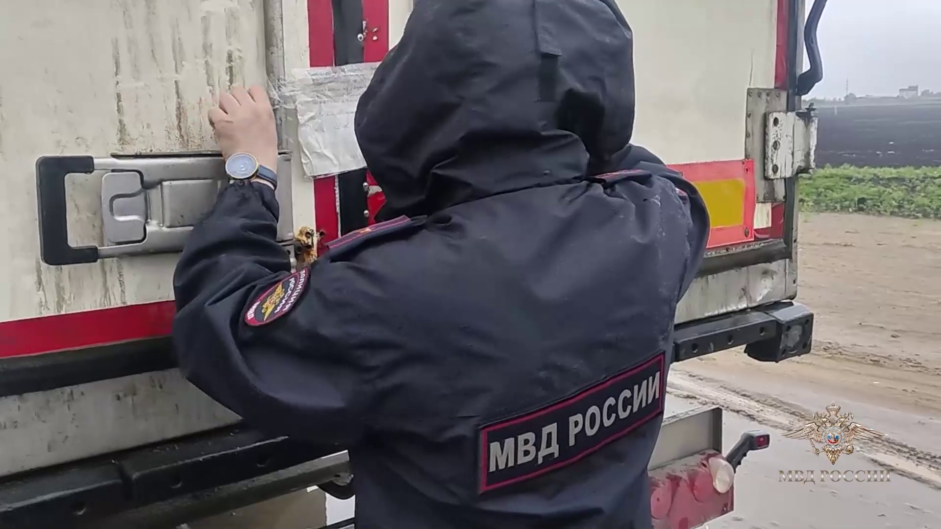 Ирина Волк: В Ульяновске полицейские изъяли более 55 тонн немаркированной рыбной продукции