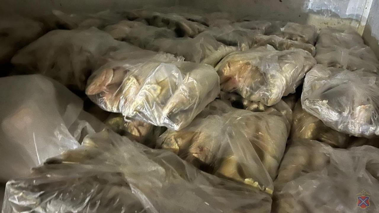 Волгоградские полицейские изъяли из незаконного оборота 10 тонн немаркированной рыбы