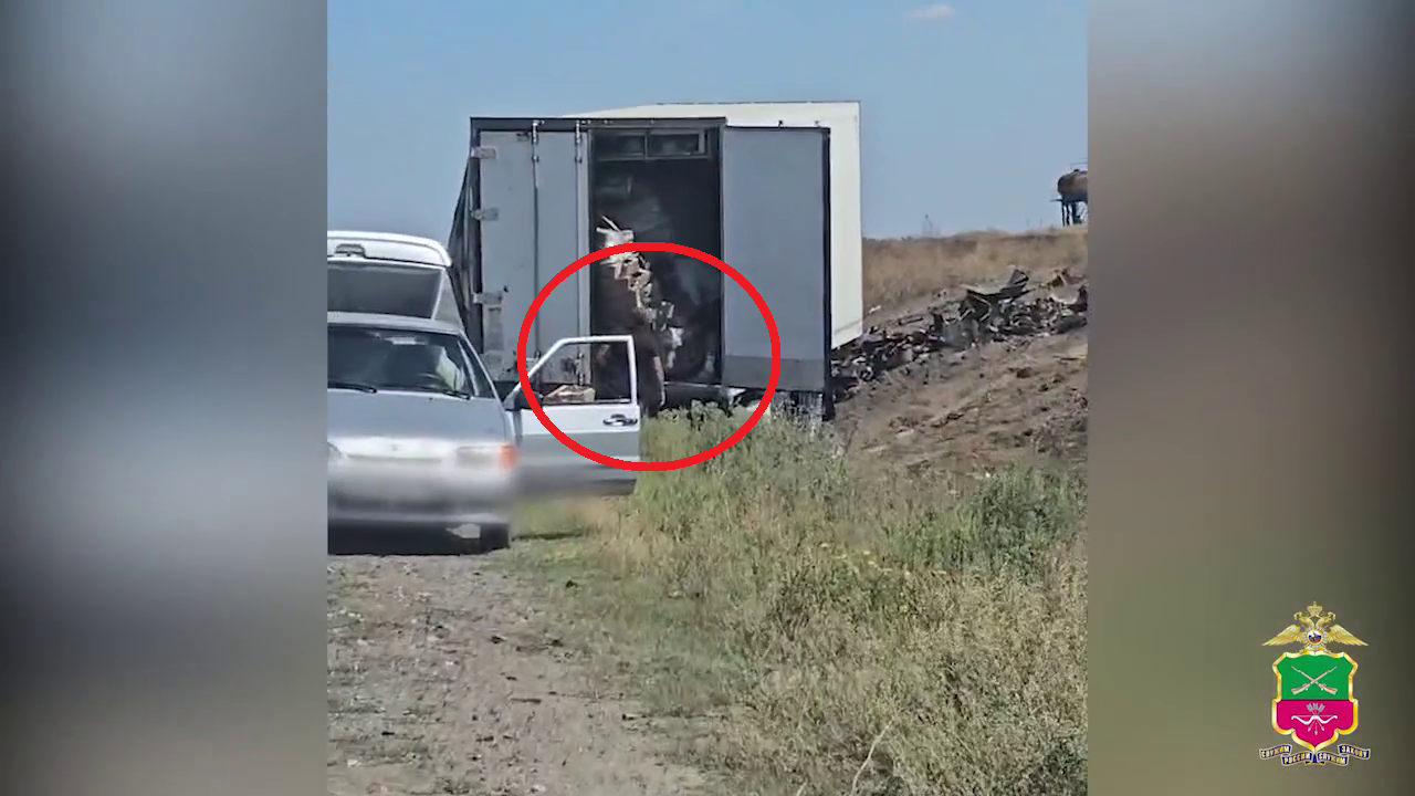 Полицейские в Запорожской области раскрыли кражи бытовой химии и мяса из попавших в ДТП грузовиков
