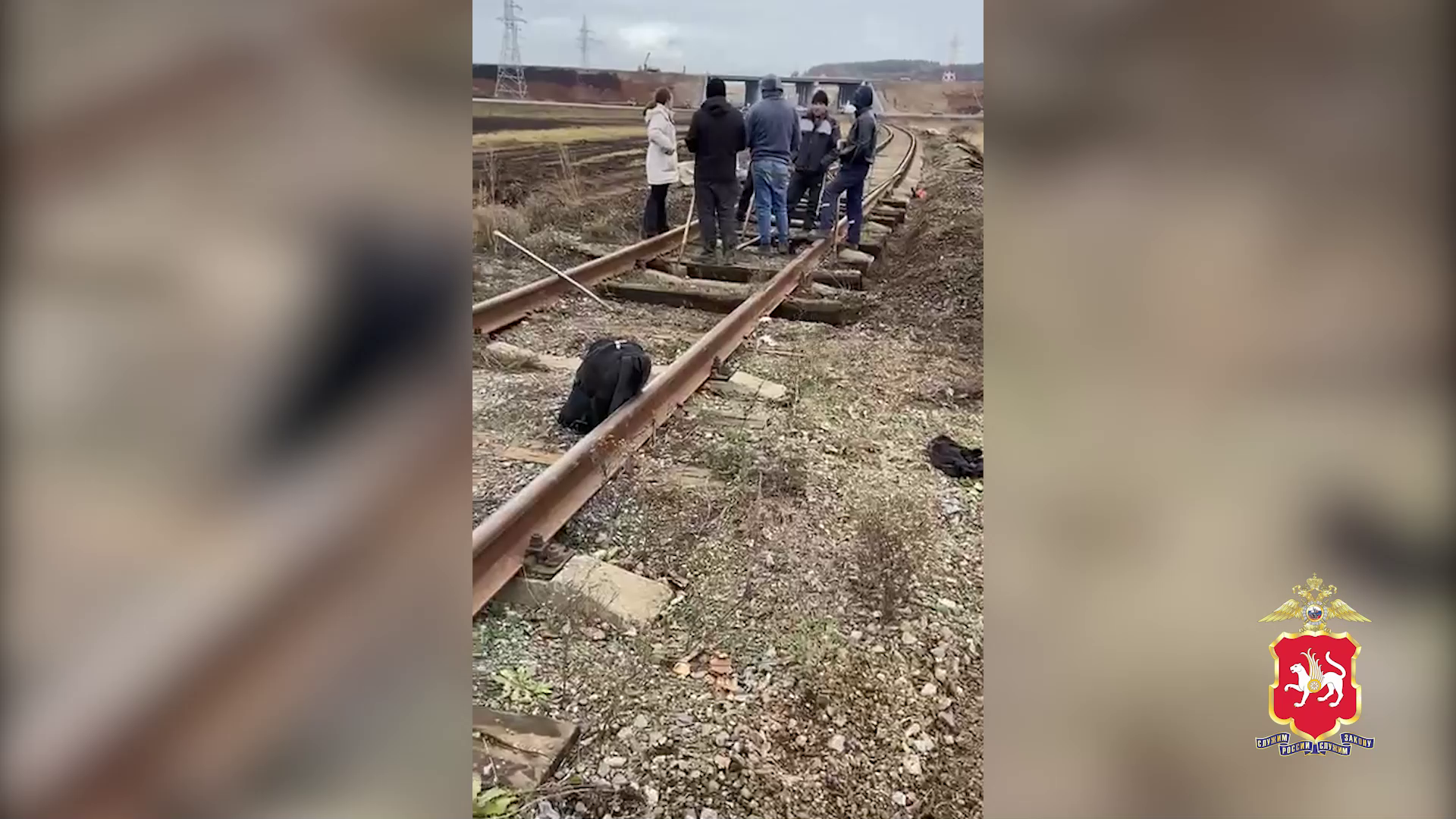В Татарстане выявлены 20 мигрантов-нарушителей, осуществлявших ремонт железной дороги