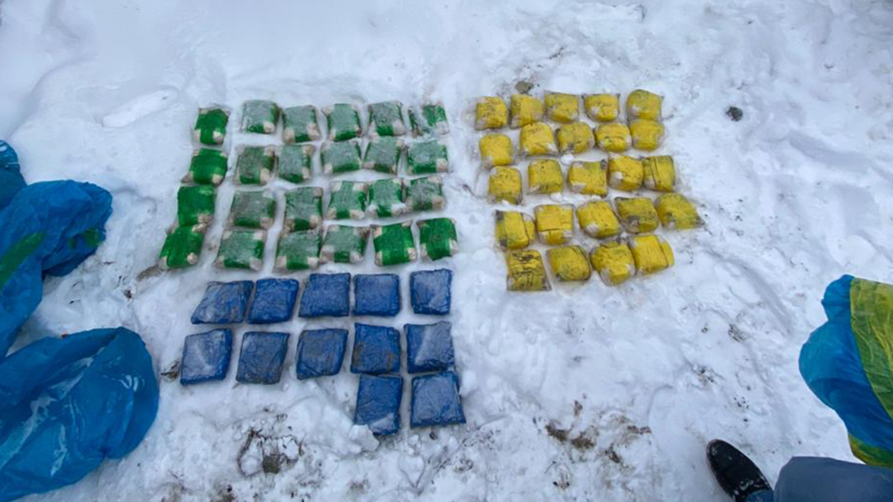 Ирина Волк: В Новосибирске завершено расследование уголовного дела о преступном сообществе наркоторговцев