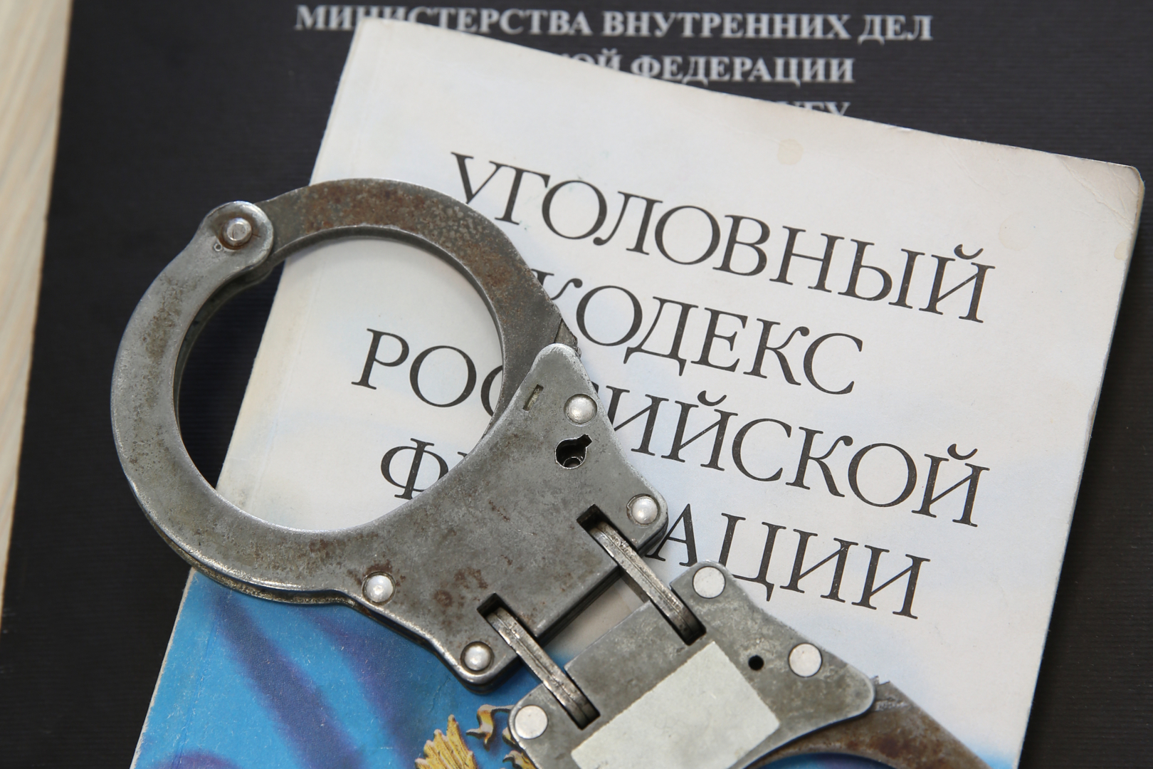 ГУ МВД России по Московской области публикует видео задержания подозреваемой в подготовке убийства по найму своего бывшего супруга
