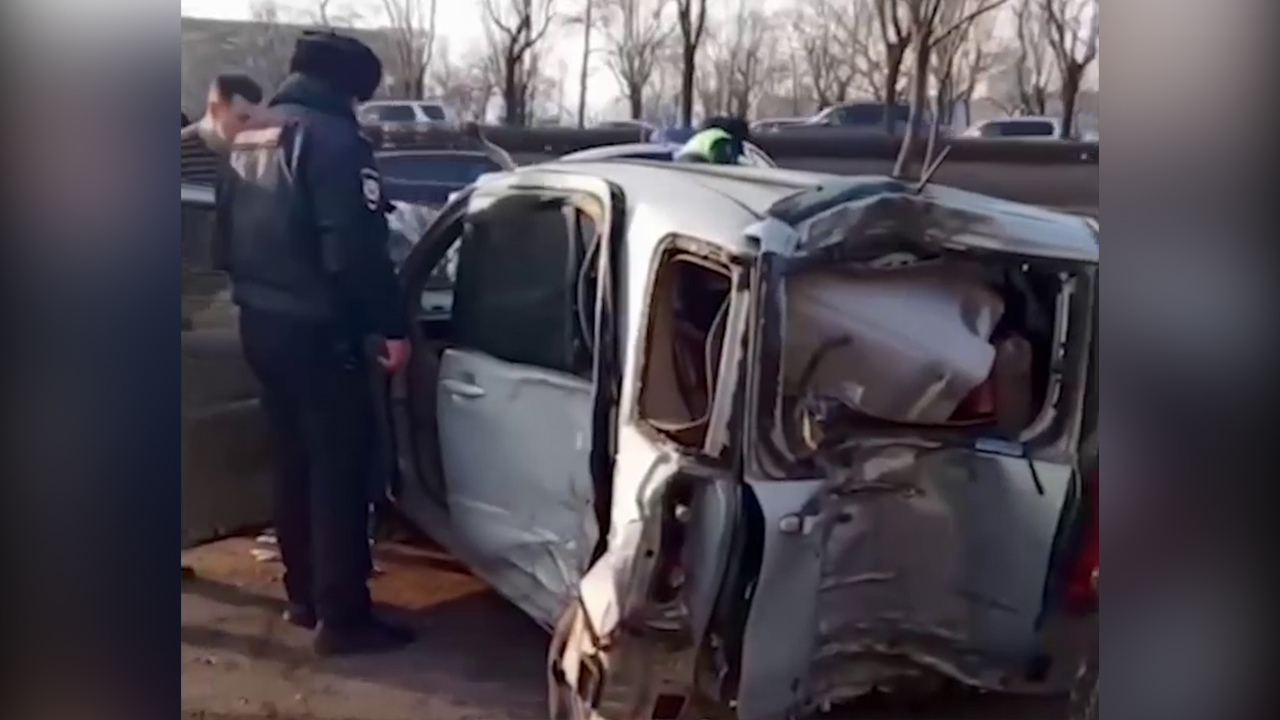 Задержан житель Владивостока, врезавшийся в дерево на угнанной машине при попытке скрыться от полиции