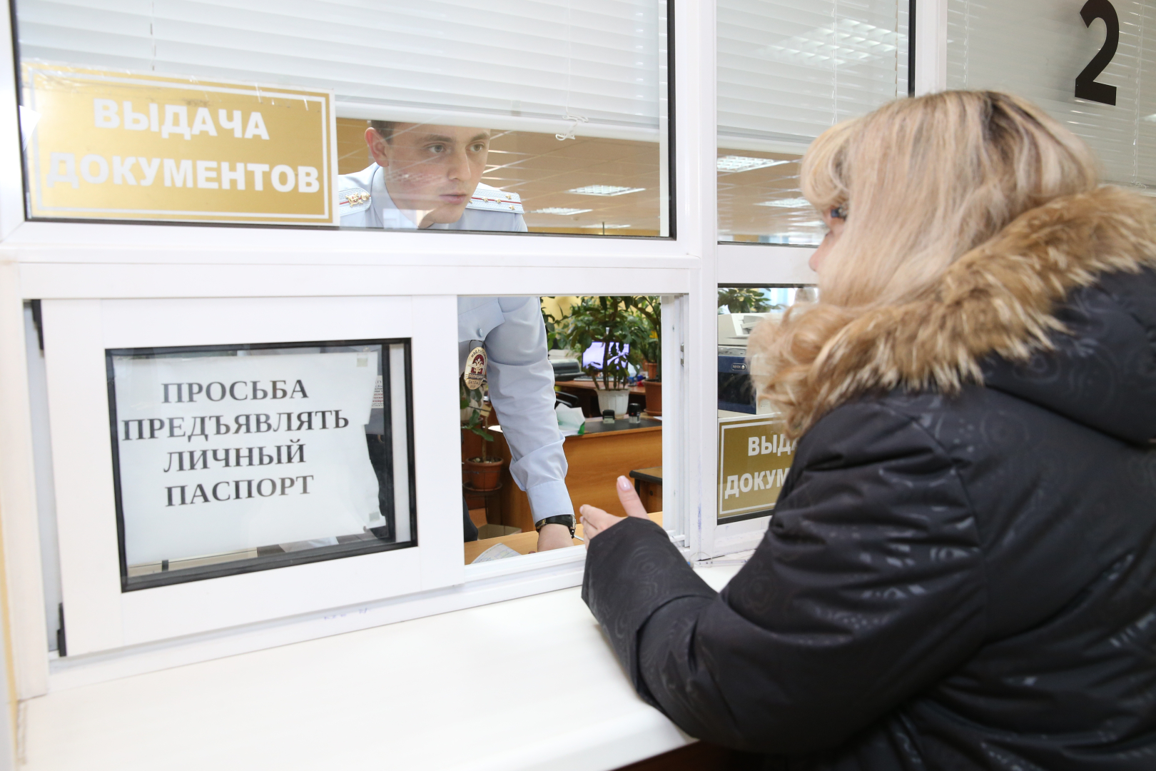 В ГУ МВД России по Московской области сообщили о полном возобновлении оказания государственных услуг по линии Госавтоинспекции