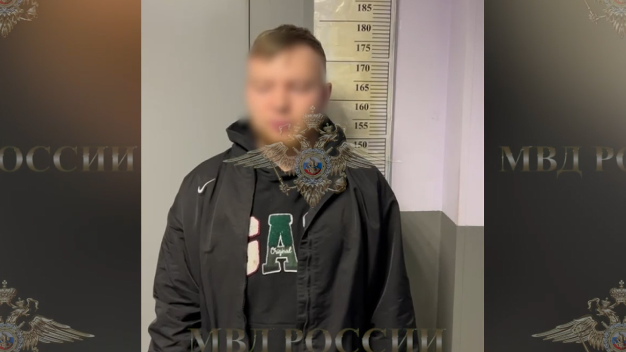 Ирина Волк: Сотрудники Московского метрополитена задержали подозреваемого в угрозе убийством сотрудникам охраны метро
