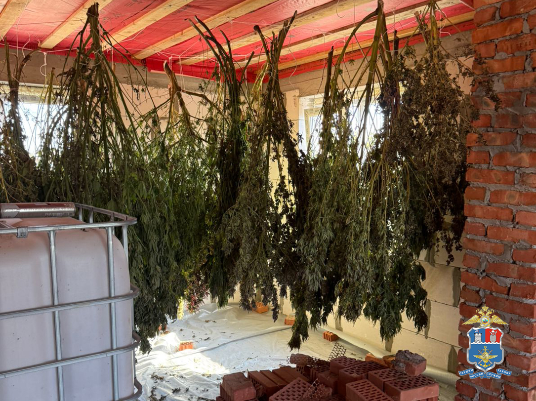 Более 70 килограммов каннабиса изъяли транспортные полицейские у жителя Ростовской области