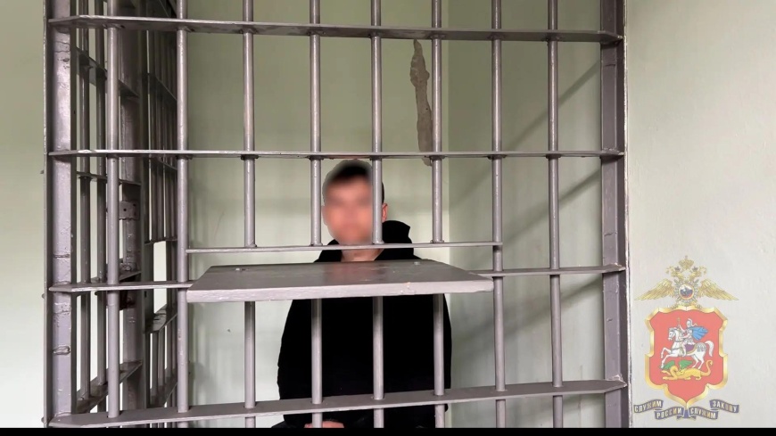 В Подмосковье задержан курьер телефонных мошенников, обманувших пенсионерку почти на 8 млн рублей
