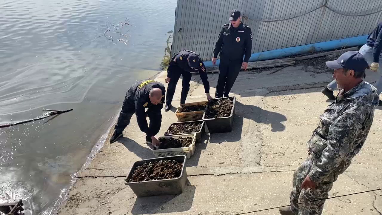 В Сызрани транспортные полицейские изъяли 12 мешков с живыми незаконно добытыми раками
