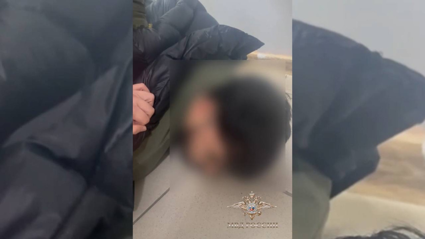 В Белгородской области полицейские выявили канал незаконной миграции