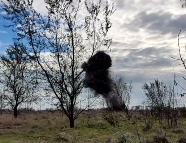 В Запорожской области полицейские обнаружили замаскированный схрон с 80 миномётными снарядами