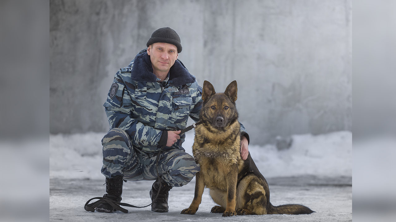 В Мурманске служебная собака по капюшону взяла след и привела полицейских к подозреваемому в краже